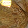 انغوزه ایرانی